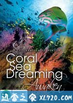 梦幻珊瑚海：唤醒 Coral Sea Dreaming: Awaken (2010)