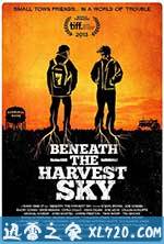 收获的天空下 Beneath the Harvest Sky (2013)